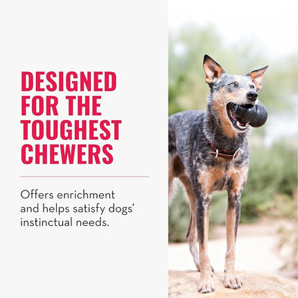 KONG Extreme M – Juguete Rellenable Ultra Resistente para Perros Medianos, Ideal para Mordedores Intensos