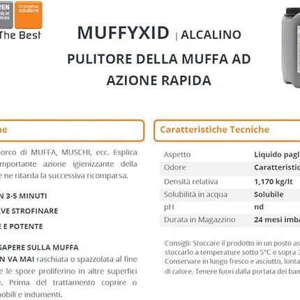 Faren 414500SP – Limpiador Antimoho para Textiles Beige, Tratamiento que Elimina y Limpia Moho