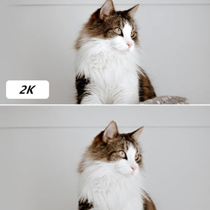 Imou Ranger 2 3MP (2K) Cámara IP WiFi 360° – Detección Humana, Seguimiento, Visión Nocturna 10m, Sirena, Audio 2 Vías, Modo Privacidad, microSD 256GB