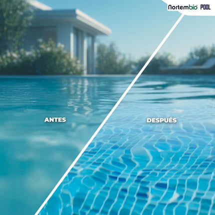 Nortembio Floculante Natural Concentrado 12 Semanas – Clarificante Antiturbidez para Piscinas Grandes y SPA, Granulado, Cacito Dosificador