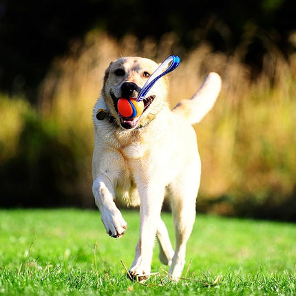 Chuckit! Ultra Tug Ball M – Pelota Resistente con Asa para Perros, Compatible con Lanzador