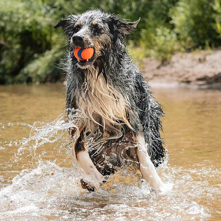 Chuckit! Ultra Ball Large – Pelota Resistente para Perros Medianos y Grandes, Compatible con Lanzador